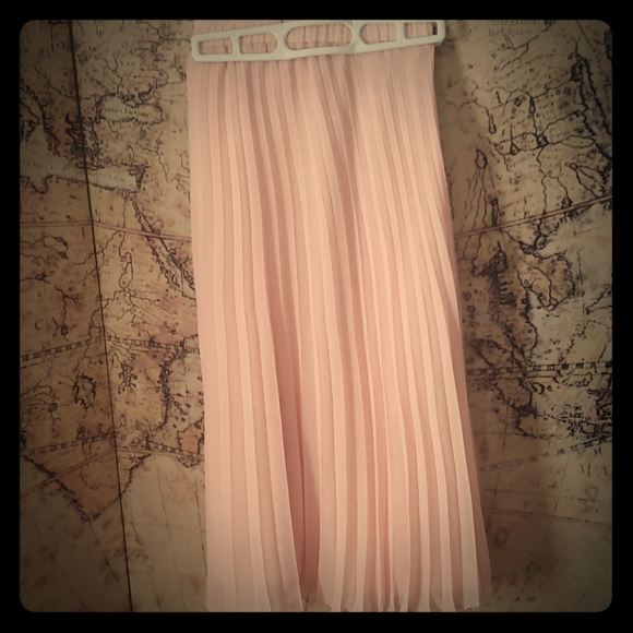 Boutique Dresses & Skirts - Pink Pleated Skirt